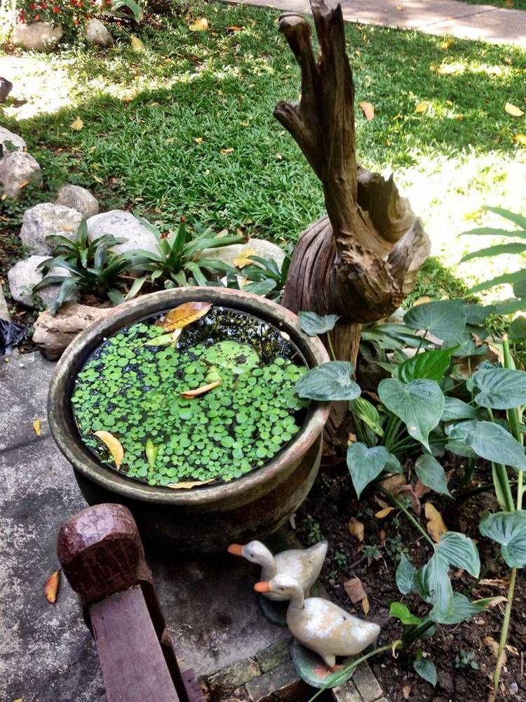 Santitham Guest House Chiang Mai Ngoại thất bức ảnh